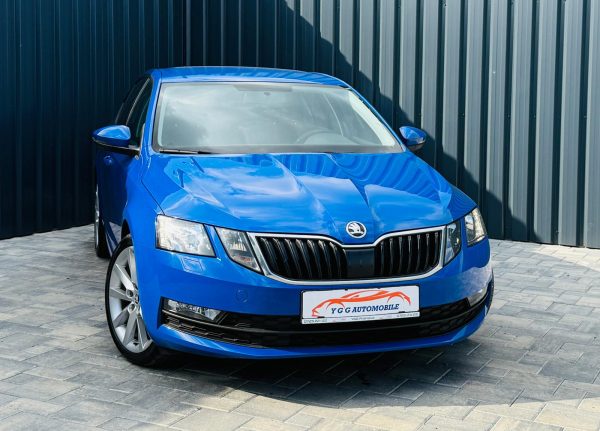 SKODA OCTAVIA DSG / 1.6 DIESEL 116  CP /FAB 04-2019 / EURO 6 / Posibilitate Rate / BuyBack / Garantie 1 AN
